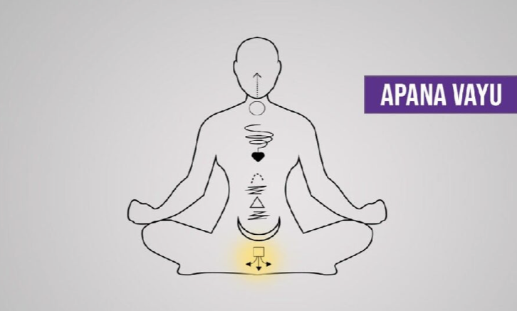 apana-vayu